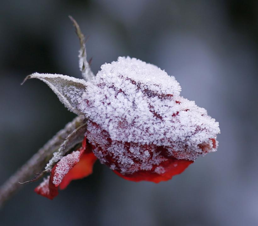 Nou val de aer polar