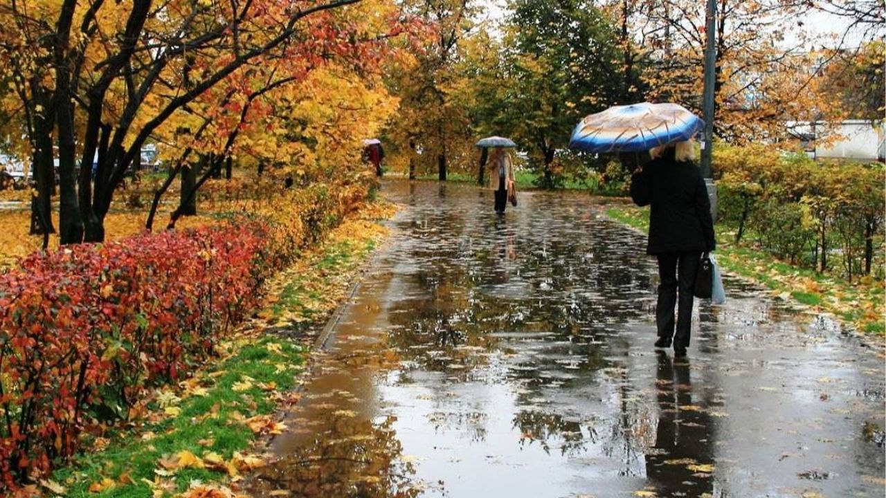 Vremea în noiembrie