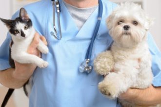 Înșelăciune la un cabinet veterinar