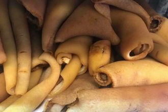 Jumările şi şoriciul