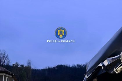 Transport de material lemnos