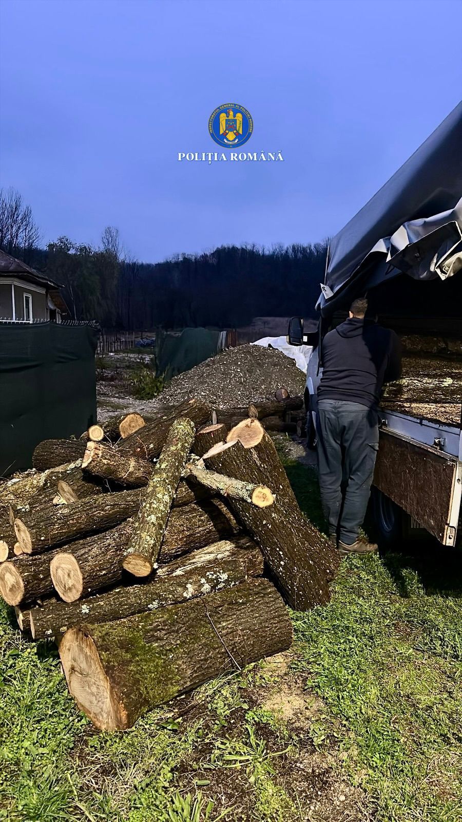 Transport de material lemnos