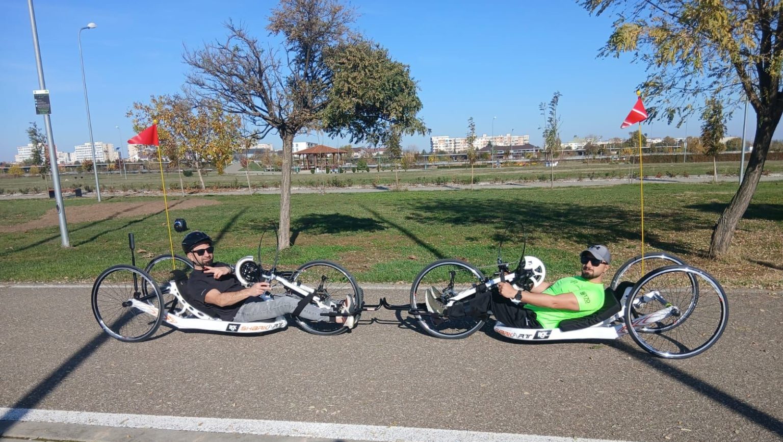 Proiect dedicat persoanelor cu dizabilități