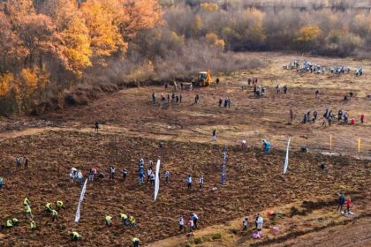 Primarul Ionuț Gheorghe
