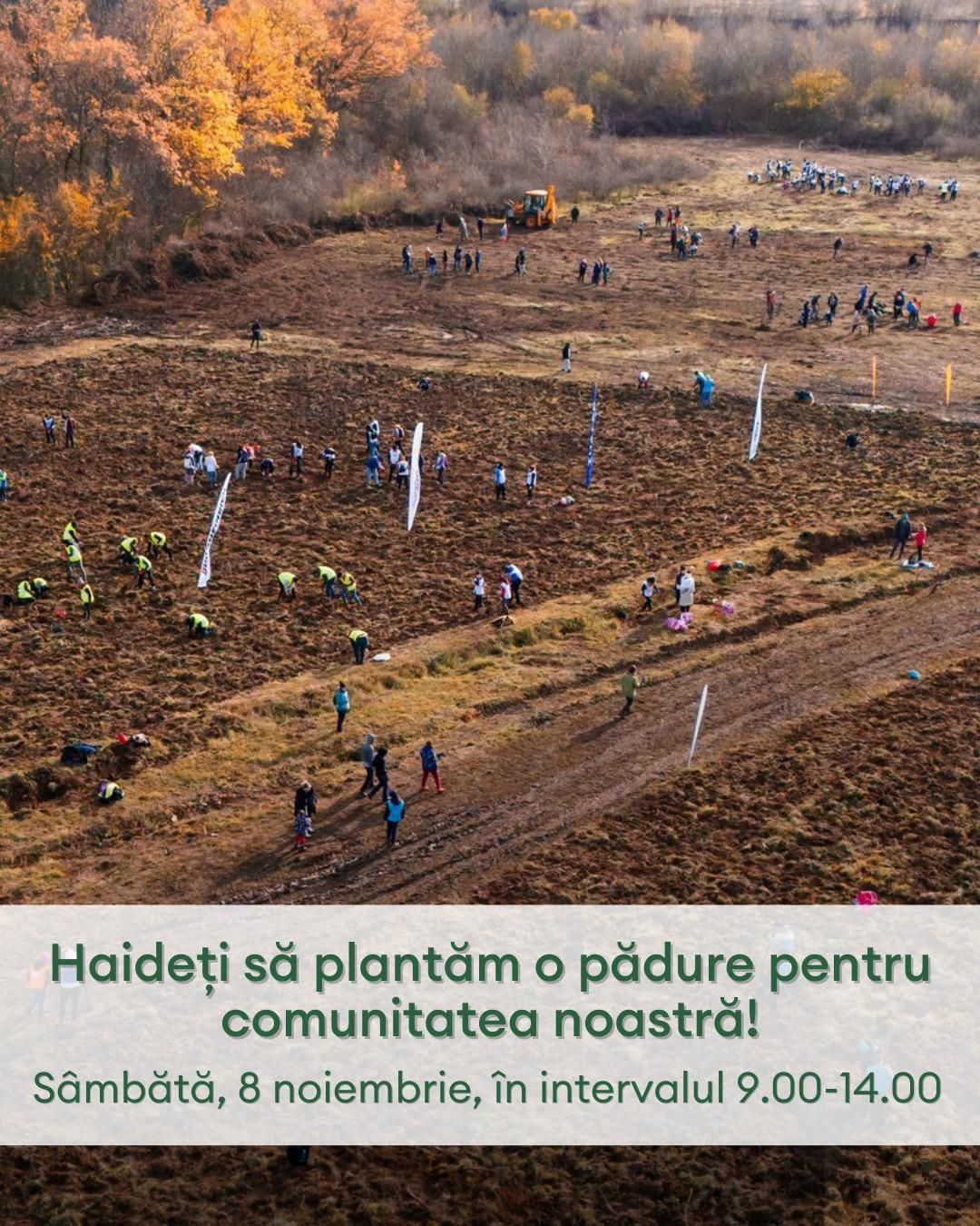 Primarul Ionuț Gheorghe