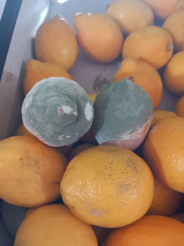 ANPC continuă monitorizarea pieței