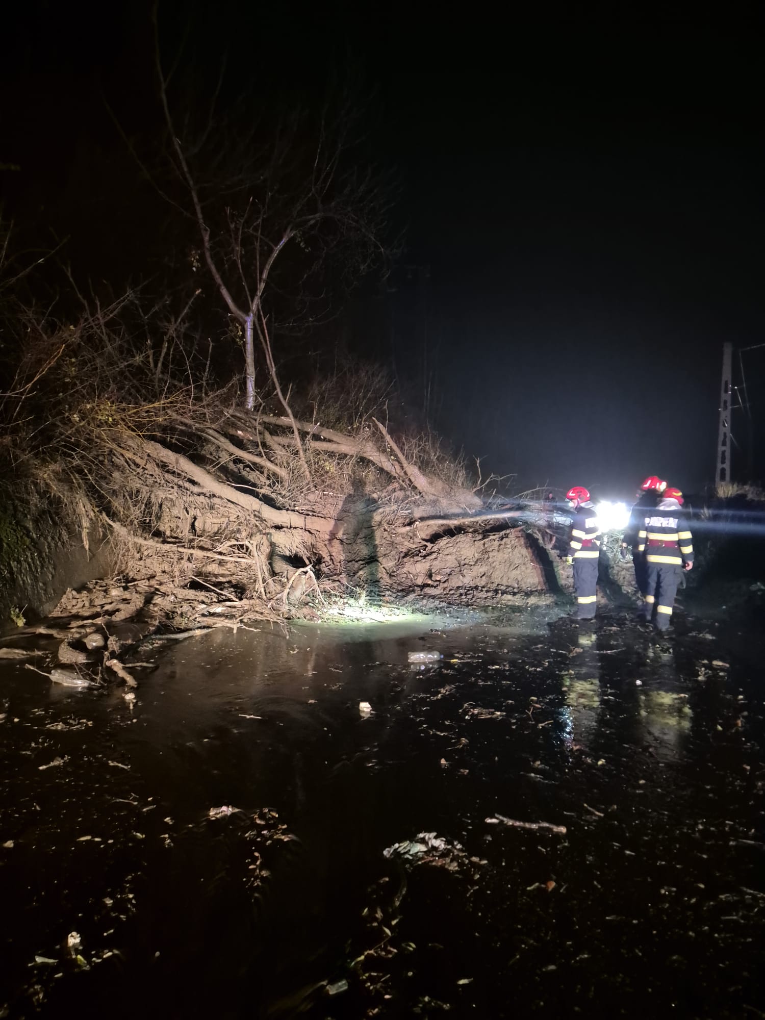 Intervenții în lanț