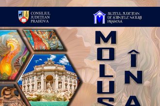 Moluștele în artă