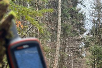 Sistemul de poziționare globală