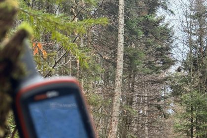 Sistemul de poziționare globală