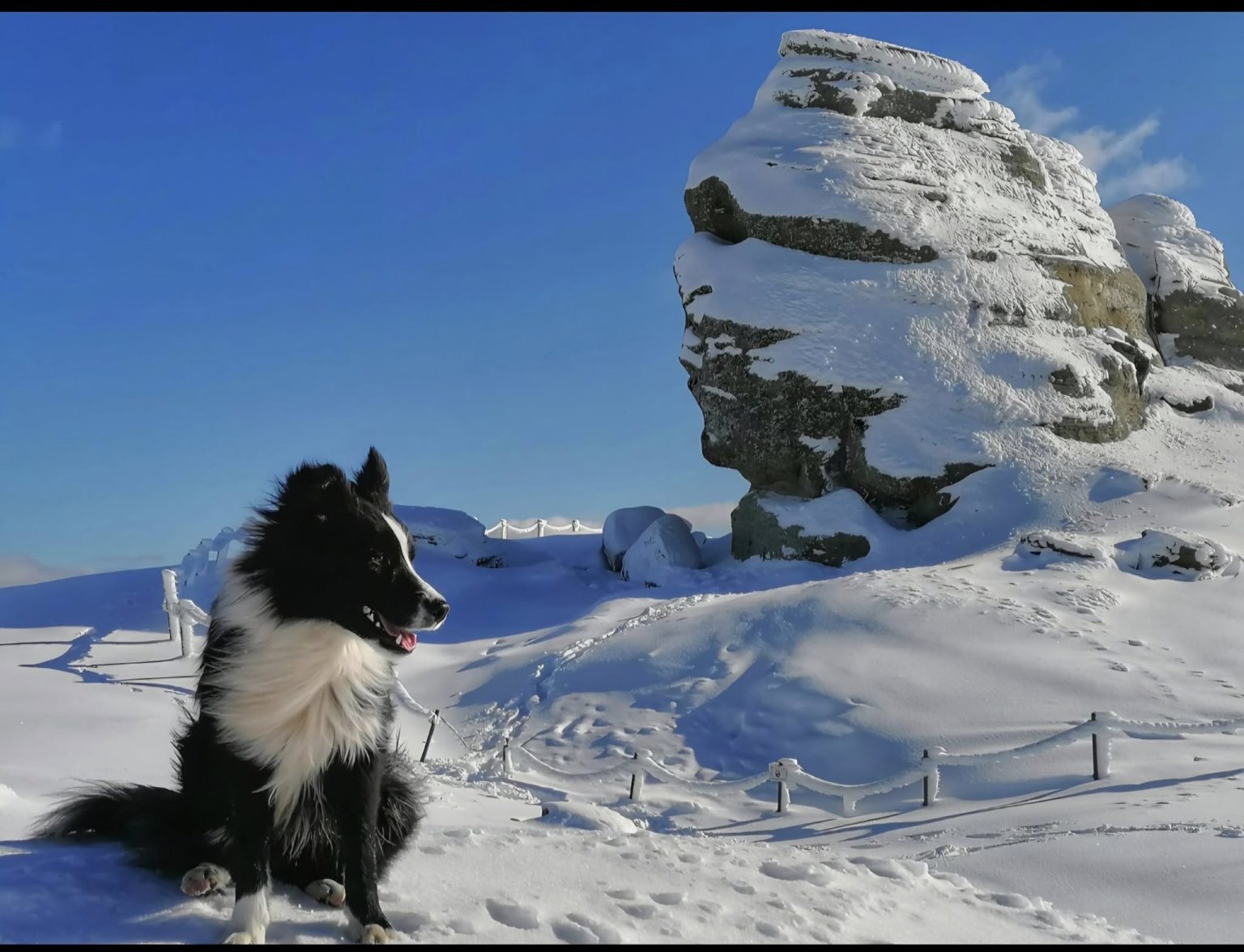 Ninsori și vânt puternic