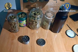 3 persoane cercetate