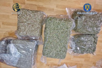 Patru persoane arestate