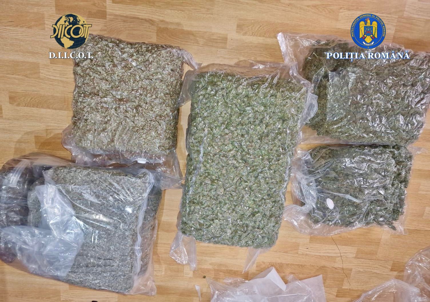 Patru persoane arestate