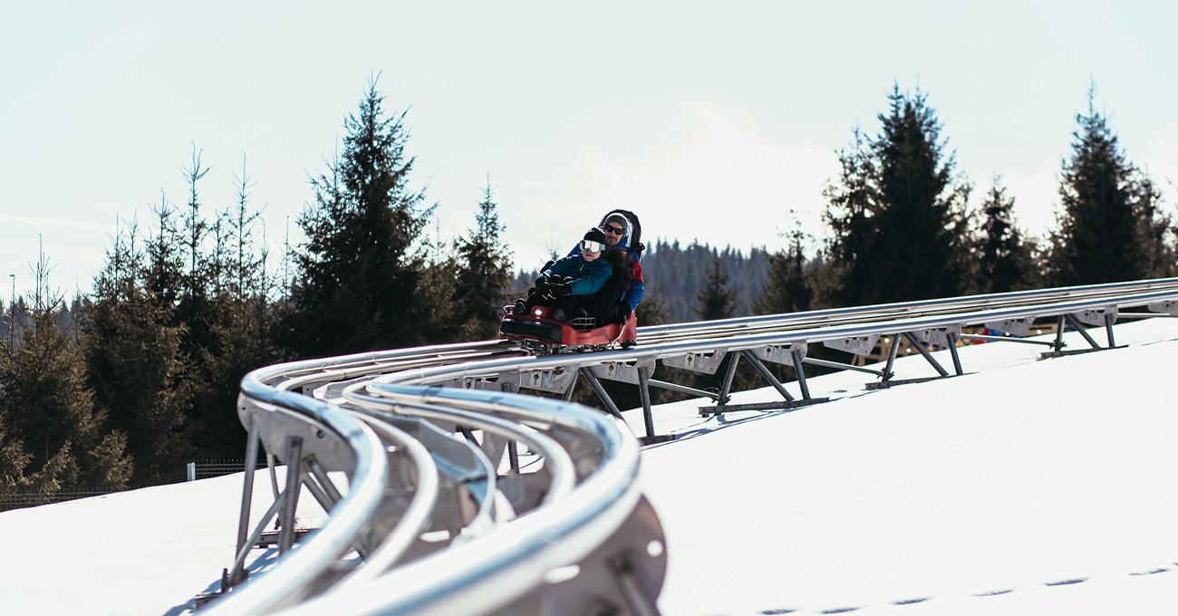 Sania Alpină Sinaia