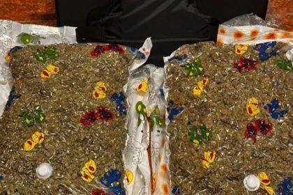 15 kilograme de canabis