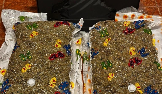 15 kilograme de canabis