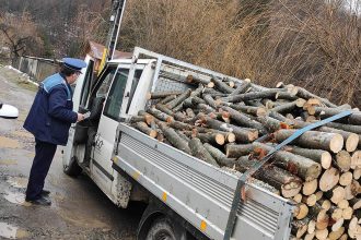 Acțiuni ale polițiștilor dâmbovițeni