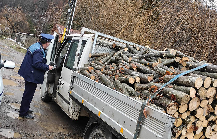 Acțiuni ale polițiștilor dâmbovițeni