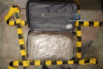 31 kilograme canabis