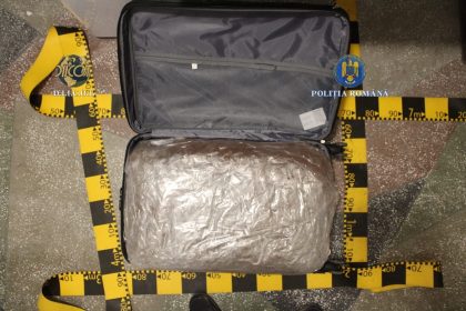 31 kilograme canabis