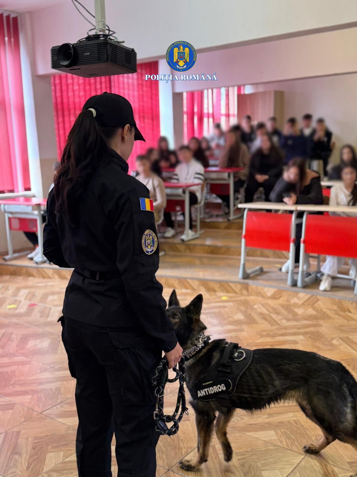 VIOLENȚĂ ȘCOLARĂ