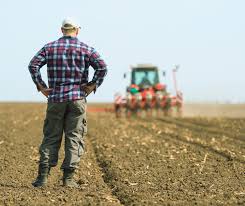 ANAF declanșează controale în agricultură