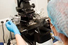 Programul național de fertilizare