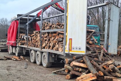 Dosar penal pentru transport ilegal