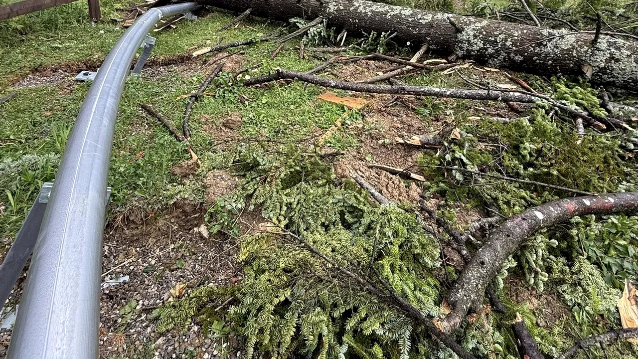 Circulație oprită pe DN 1A