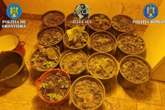 Trafic de droguri finalizat