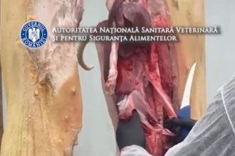 Tradiția românească de tăiere a porcului