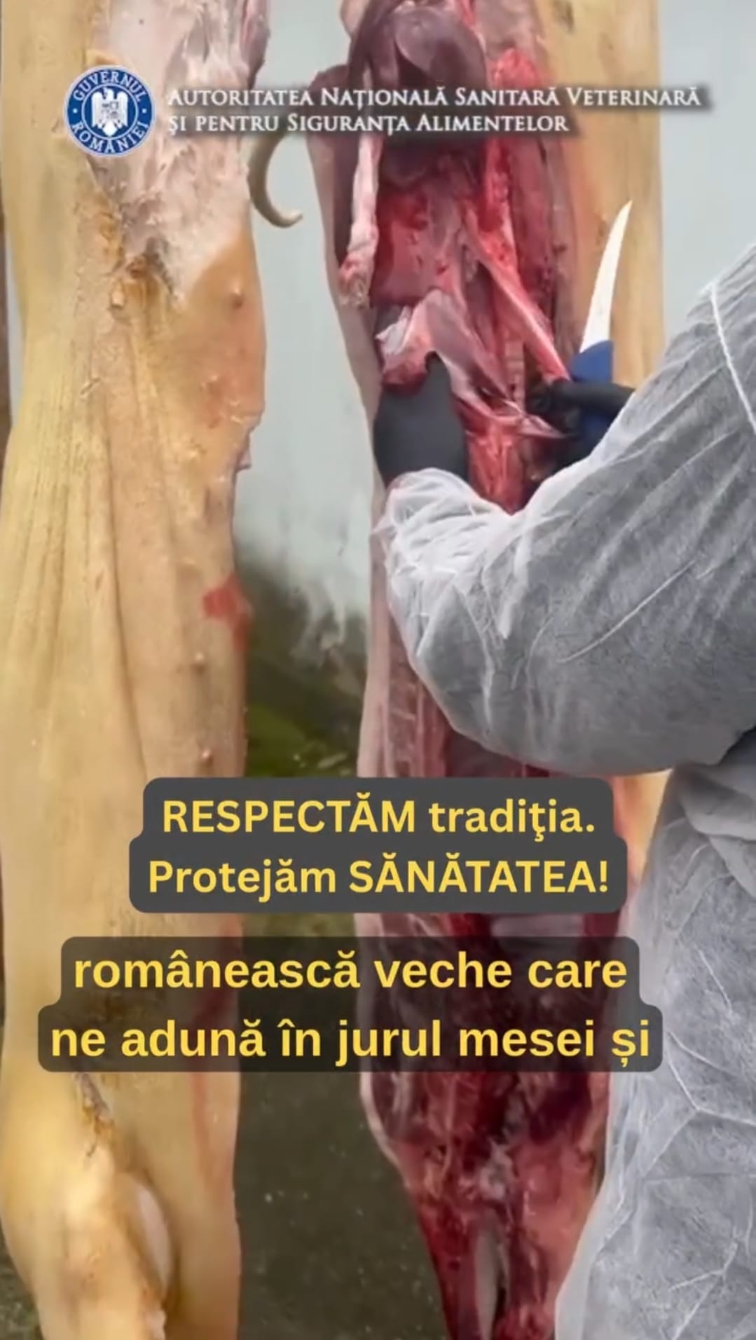 Tradiția românească de tăiere a porcului