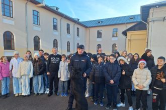 Jandarmii și polițiștii din Dâmbovița