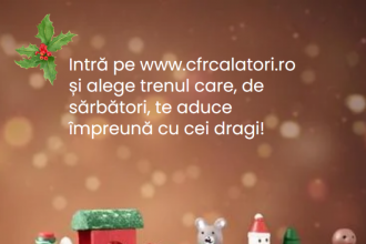 Adaptarea capacității de transport