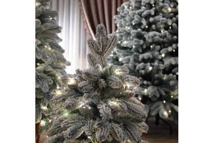 Bradul de Crăciun în 2025