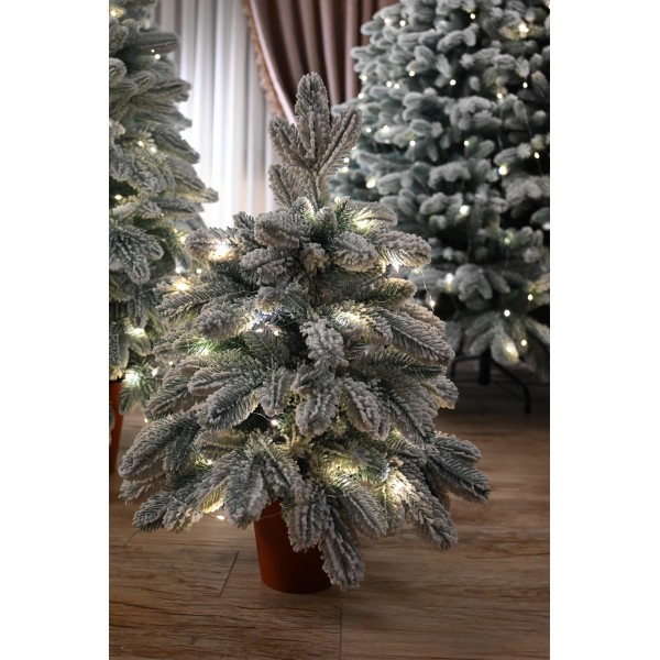 Bradul de Crăciun în 2025