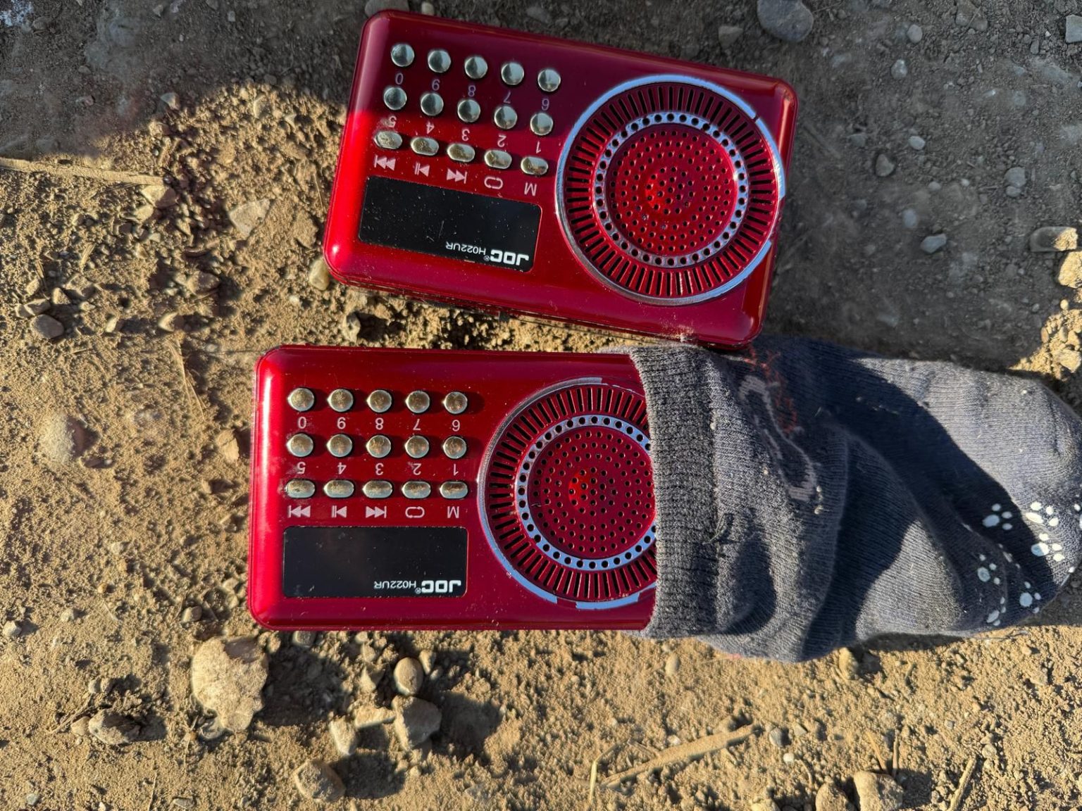 Captură ilegală de păsări