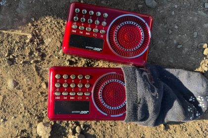 Captură ilegală de păsări