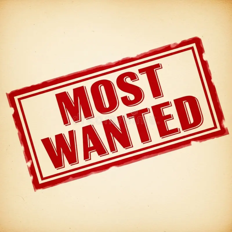 Șapte persoane urmărite internațional