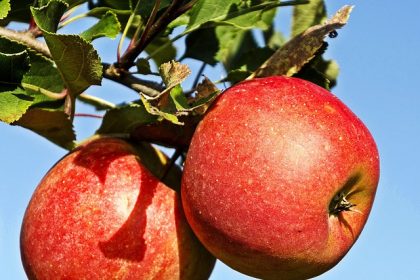 România este codașă în UE