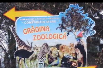 Proiect educațional i