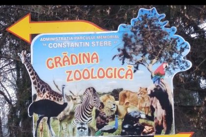 Proiect educațional i