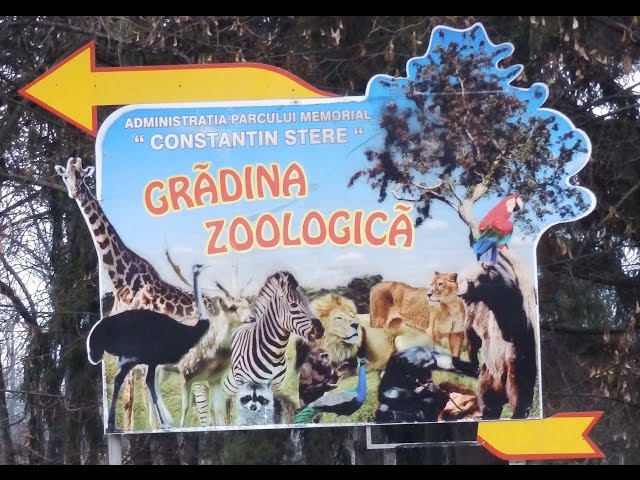 Proiect educațional i