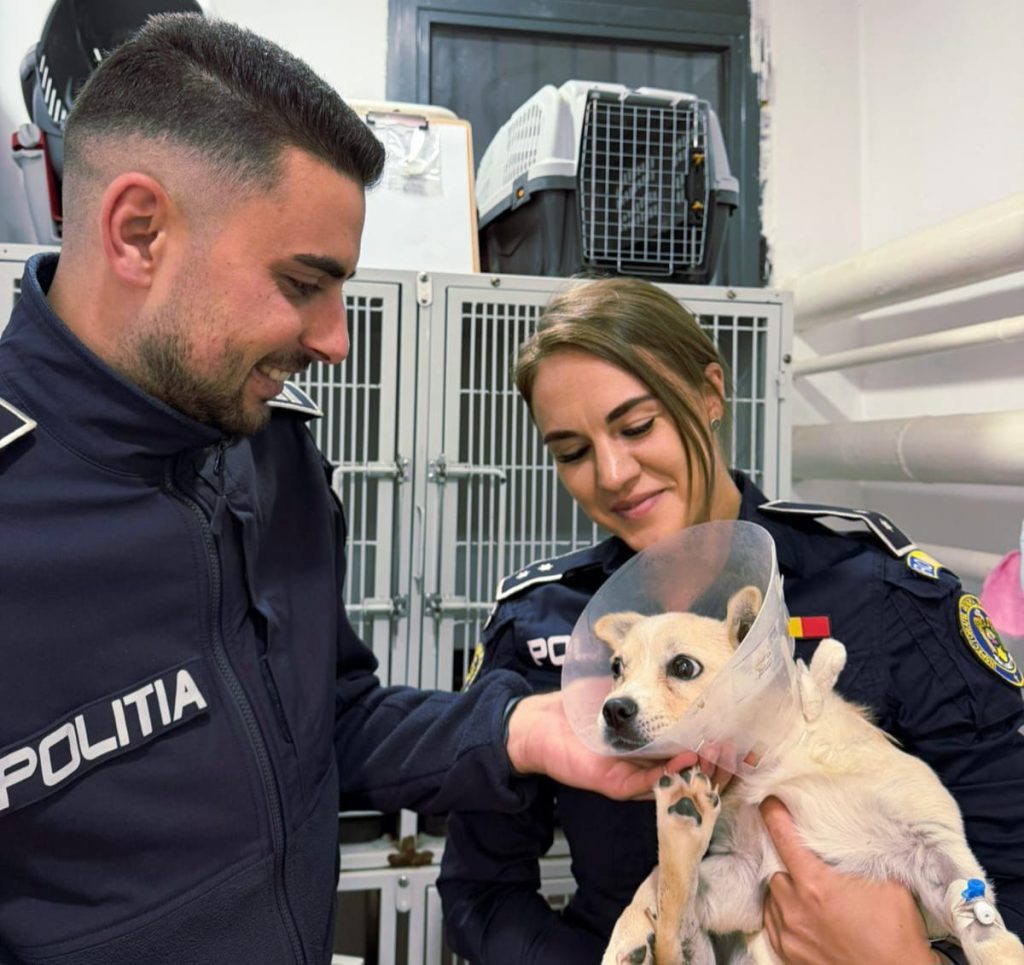 Protejarea animalelor
