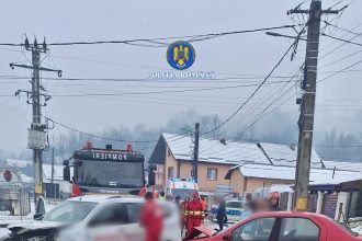 Rezultatele activităților