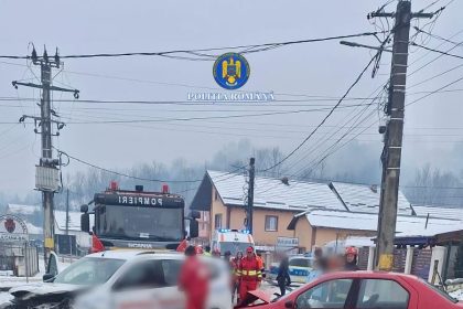 Rezultatele activităților