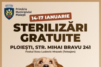 Campanie gratuită de sterilizare