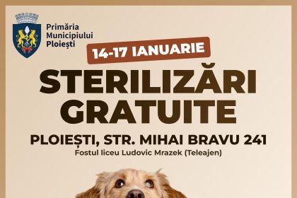 Campanie gratuită de sterilizare