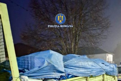 Transport de deșeuri